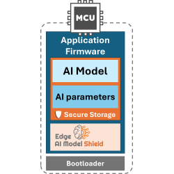 Edge AI Model Shield
